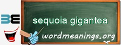 WordMeaning blackboard for sequoia gigantea